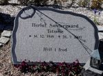 Herluf Soendergaard Tetsche.JPG